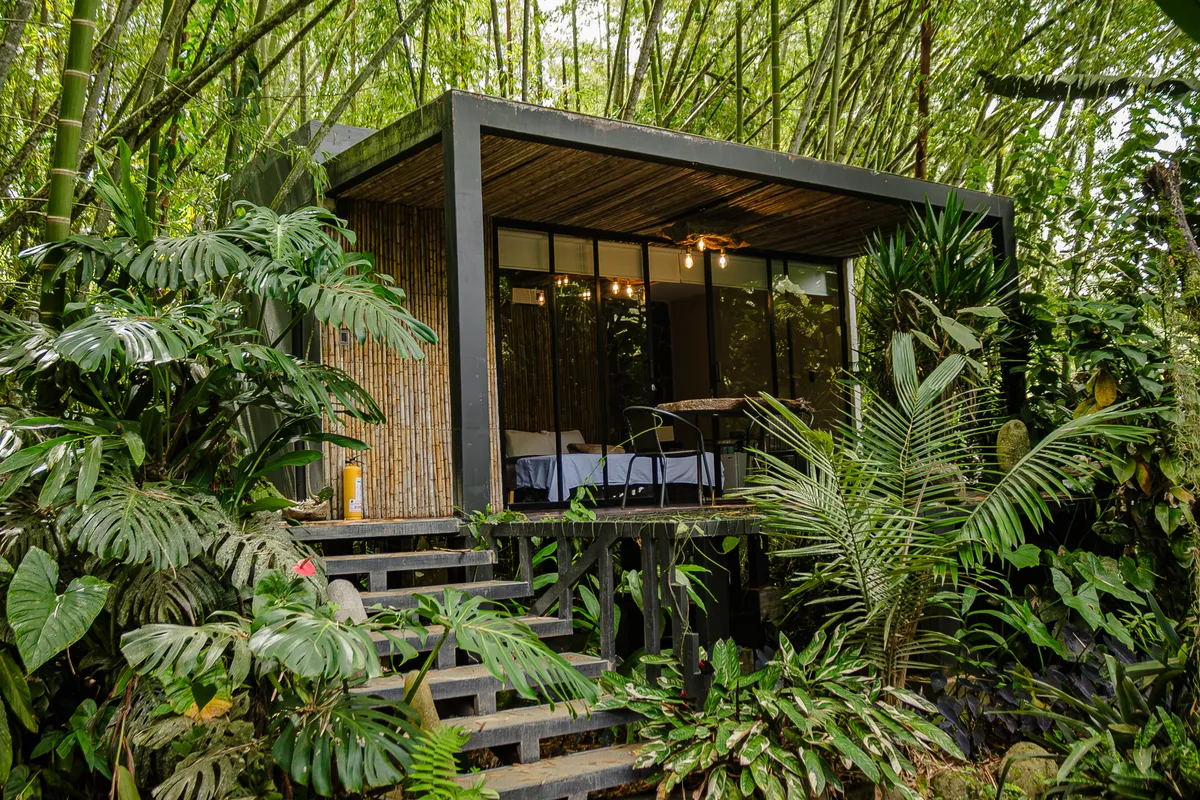 Cabaña Bosque de Guadua entre el guadual